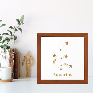 Modern Zodiac Sign Gold Aquarius   Element Air Pennenhouder