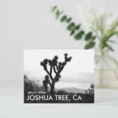 Modern zwart-wit Hallo vanuit Joshua Tree Briefkaart (Staand voorkant)