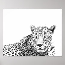 Moderne 10x8-inch zwarte en witte jaguar