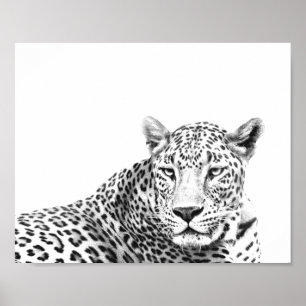 Moderne 10x8-inch zwarte en witte jaguar poster
