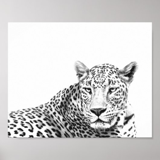 Moderne 10x8-inch zwarte en witte jaguar poster (Voorkant)