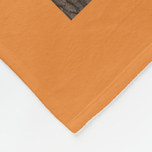 Moderne 13 Fotocollage Klasse Jaar Aangepaste kleu Fleece Deken (Hoek)