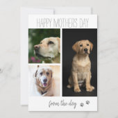 Moderne 3 foto collage | Van de hond Feestdagenkaart (Voorkant)