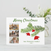 Moderne 3 Foto Kerstman Hoed Dennentak Kerstmis Feestdagenkaart (Staand voorkant)