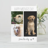 Moderne 3 fotocollage | Van de hond Feestdagenkaart (Staand voorkant)