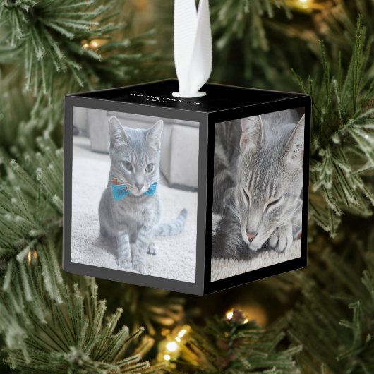 Moderne 3D Vierkante Aangepaste Familie/Pet Foto Decoratie (Boom)