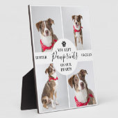 Moderne 4 foto-collage | Huisdier verlies hond/kat Fotoplaat (Zijkant)