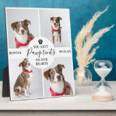 Moderne 4 foto-collage | Huisdier verlies hond/kat Fotoplaat (Zijkant)