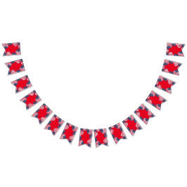 Moderne 4 juli Patriottische Amerikaanse Vlag Vlaggetjes