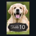 Moderne aangepaste foto Rustic Chalkboard Wedding  Kaart<br><div class="desc">Tafelnummers van uw huisdieren! Neem je beste hond, beste kat en elk huisdier op je bruiloft met zijn eigen tafelnummers voor je gasten. Ideaal voor hondenliefhebbers, en een speciale hondentafel zal een hit zijn op je bruiloft. Het eenvoudige rustige label van het krijtbord toont uw lijstaantal. Pas dit huisdiertrouwbord aan...</div>