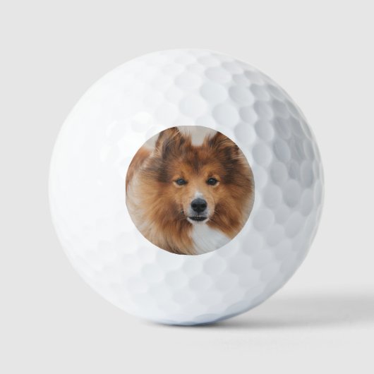 Moderne aangepaste huisdierenfoto golfballen (Voorkant)