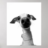 Moderne aangepaste huisdierfoto | Meeko Groot Poster (Voorkant)