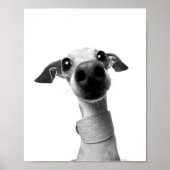 Moderne aangepaste huisdierfoto | Meeko Poster (Voorkant)