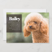 Moderne Aangepaste Puppy Dog Foto Birthday Uitnodi Kaart (Voorkant)