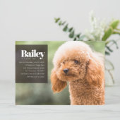 Moderne Aangepaste Puppy Dog Foto Birthday Uitnodi Kaart (Staand voorkant)