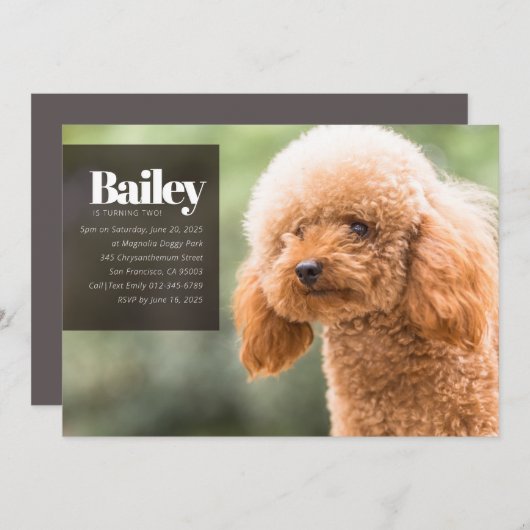 Moderne Aangepaste Puppy Dog Foto Birthday Uitnodi Kaart (Voorkant / Achterkant)