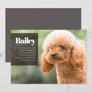 Moderne Aangepaste Puppy Dog Foto Birthday Uitnodi Kaart
