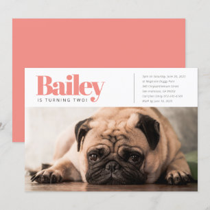 Moderne Aangepaste Puppy Hond Foto Verjaardag Uitn Kaart