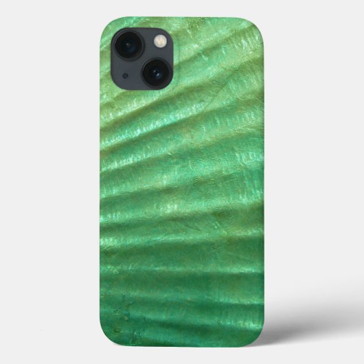 Moderne Abalone Seashell Design iPad mini Case (Achterkant)