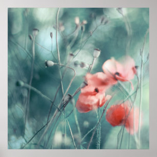 Moderne Abstracte droomroze Blauwgroen papaver Poster