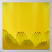 Moderne Abstracte gele kronkelbloemen Poster (Voorkant)