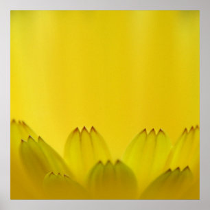 Moderne Abstracte gele kronkelbloemen Poster