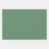 Moderne Abstracte Kunst Lente Bloemen Patroon Groe Inpakpapier Vel (Voorkant 3)