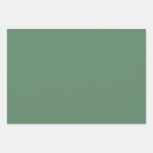 Moderne Abstracte Kunst Lente Bloemen Patroon Groe Inpakpapier Vel (Voorkant 3)