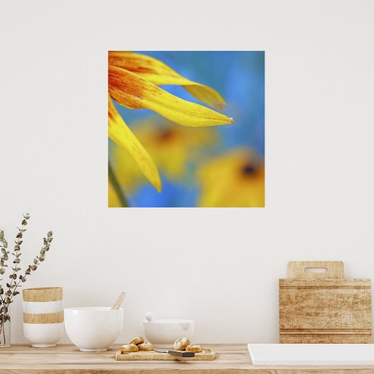 Moderne Abstracte macrogele concefloer op blauw Poster (Keuken)