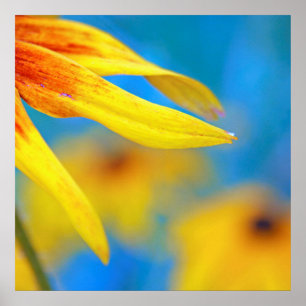 Moderne Abstracte macrogele concefloer op blauw Poster
