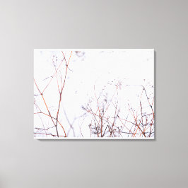 Moderne Abstracte winterwilde bloemen op sneeuw Canvas Afdruk