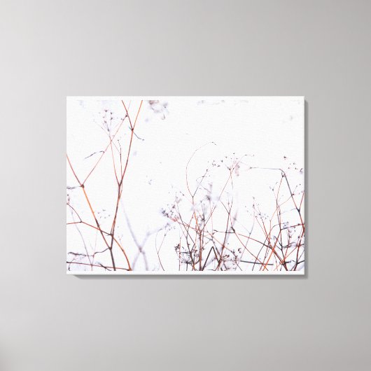 Moderne Abstracte winterwilde bloemen op sneeuw Canvas Afdruk (Voorkant)