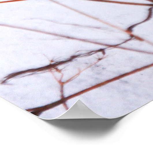 Moderne Abstracte winterwilde bloemen op sneeuw Poster (Hoek)