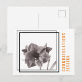 Moderne Amaryllis Bloem Oranje Briefkaart (Voorkant / Achterkant)