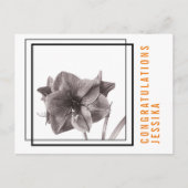Moderne Amaryllis Bloem Oranje Briefkaart (Voorkant)