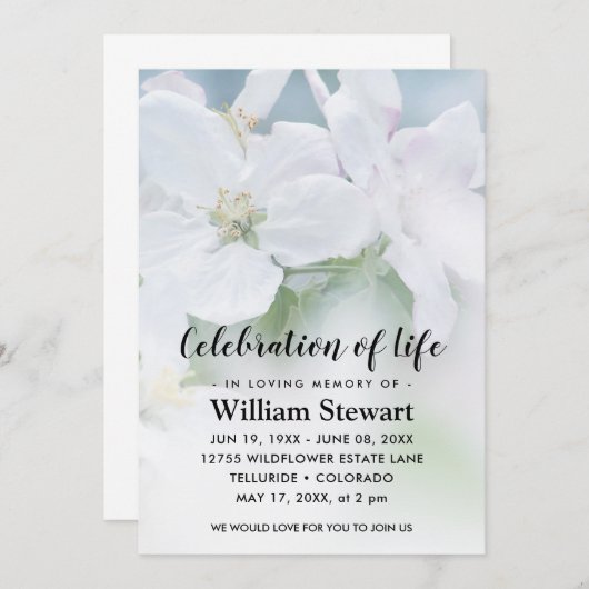 Moderne begrafenis | Viering van Life White Flower Kaart (Voorkant / Achterkant)