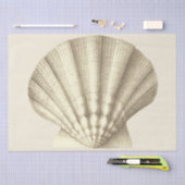 Moderne Beige Shell Tissuepapier (Craft)