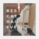 Moderne BESTE CAT PAPA OOIT Custom Foto Glas Ornament (Voorkant)