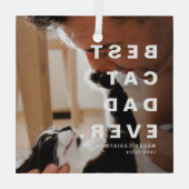 Moderne BESTE CAT PAPA OOIT Custom Foto Glas Ornament (Achterkant)