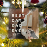 Moderne BESTE CAT PAPA OOIT Custom Foto Glas Ornament<br><div class="desc">Moderne beste kat papa ooit aangepaste foto kerst ornament. Perfect cadeau voor kattenliefhebbers tijdens het feestseizoen.</div>