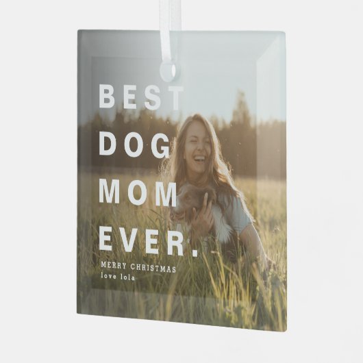 Moderne BESTE HOND MOEDER OOIT Custom Foto Glas Ornament (Voorkant links)