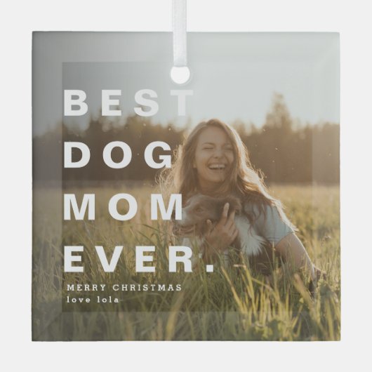 Moderne BESTE HOND MOEDER OOIT Custom Foto Glas Ornament (Voorkant)