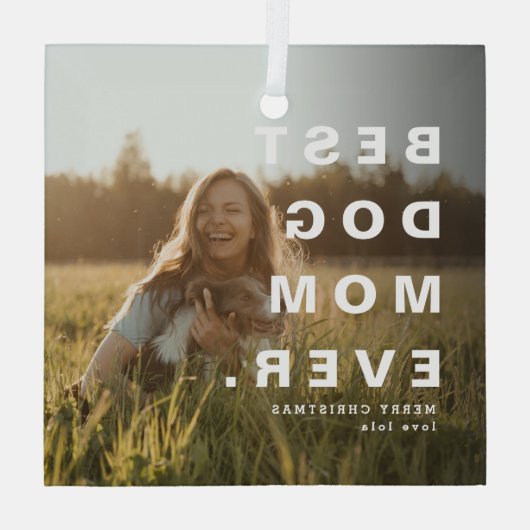 Moderne BESTE HOND MOEDER OOIT Custom Foto Glas Ornament (Achterkant)