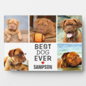 Moderne beste hond ooit fotocollage | Pet Fotoplaat (voorkant)
