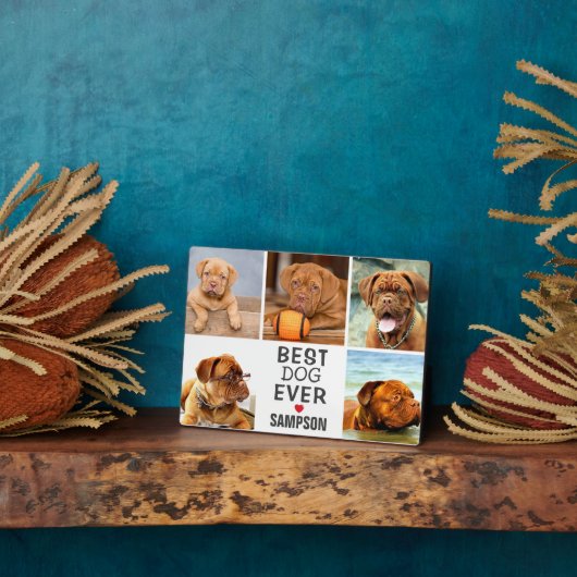 Moderne beste hond ooit fotocollage | Pet Fotoplaat (Zijkant)