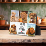 Moderne beste hond ooit fotocollage | Pet Fotoplaat<br><div class="desc">Een moderne fotocollage plaque voor je geliefde huisdier. Of het nu een hond,  kat,  konijn of vogel is. Een eenvoudig ontwerp van 5 foto's en tekst die gemakkelijk kunnen worden aangepast. Zou er in elk huis fantastisch uitzien en zou ook een geweldig geschenk zijn.</div>