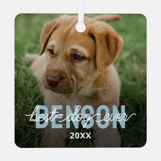 Moderne Beste Hond Ooit Huisdier Foto Metalen Ornament (Achterkant)