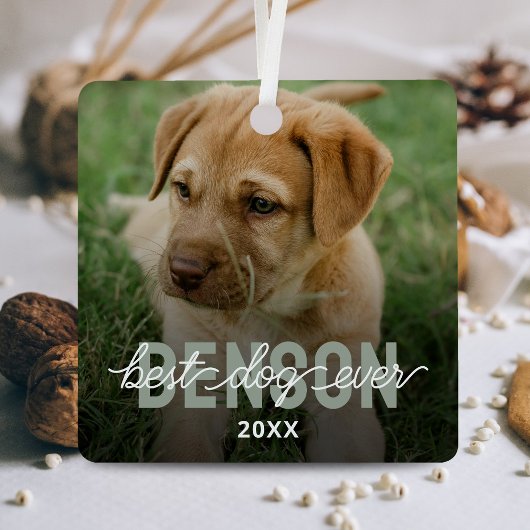 Moderne Beste Hond Ooit Huisdier Foto Metalen Ornament