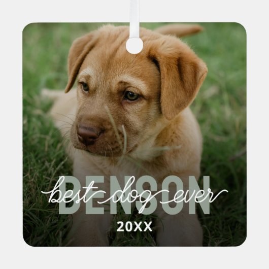 Moderne Beste Hond Ooit Huisdier Foto Metalen Ornament (Voorkant)