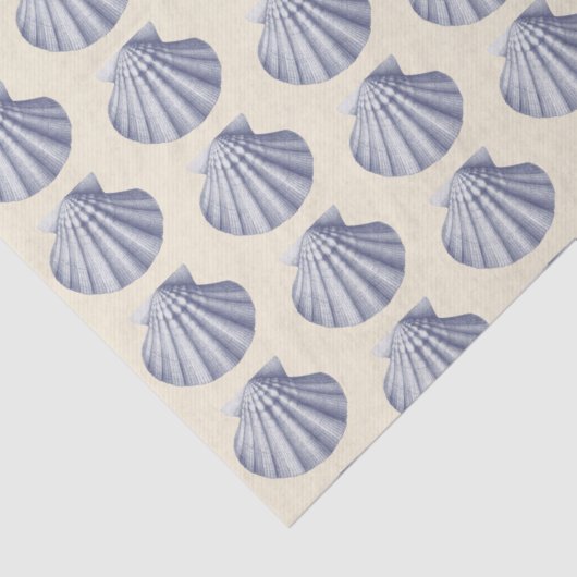 Moderne  Blauw Beige Shells Tissuepapier (Detail)